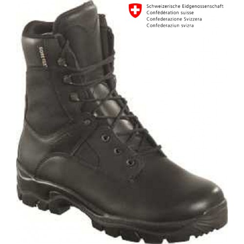 Militär Kampfstiefel Eagle Pro GTX