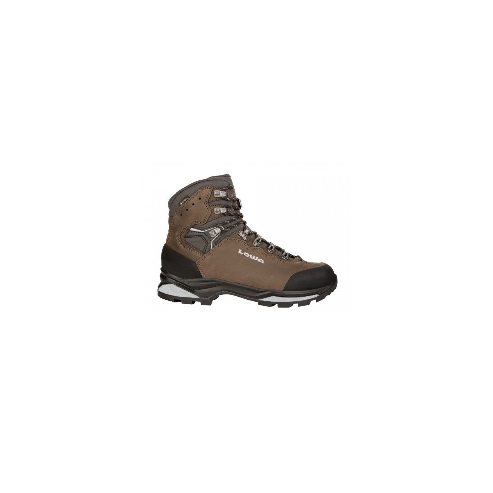 Chaussures Camino Evo GTX
