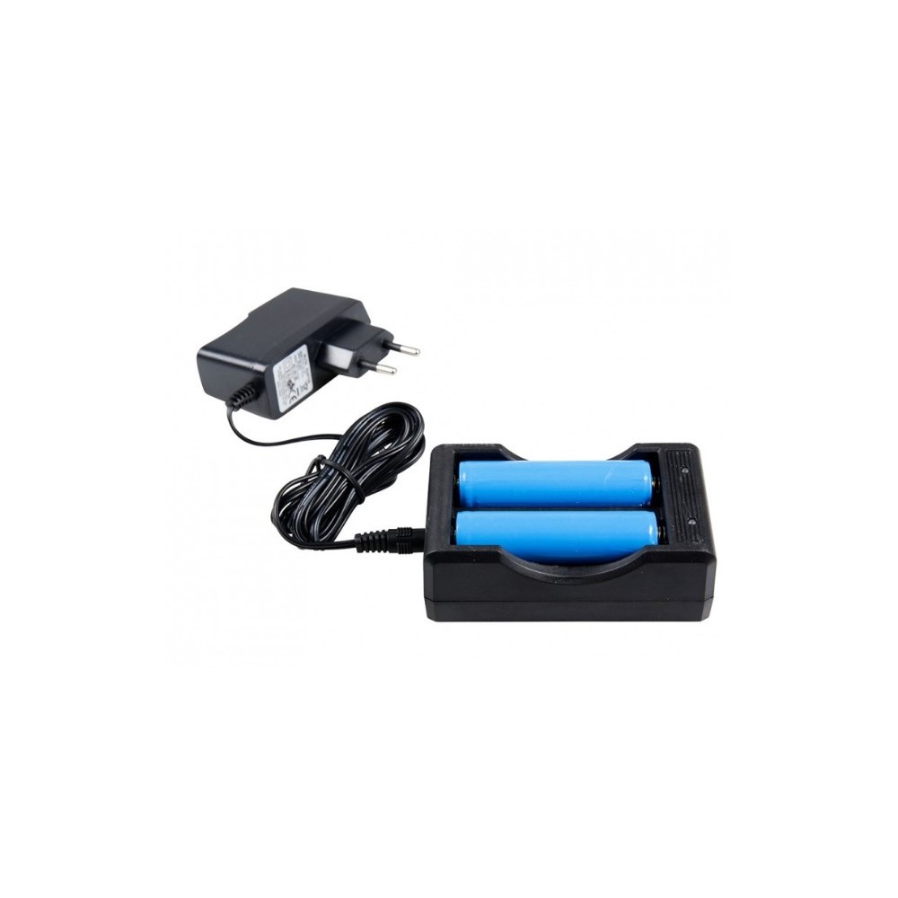 Batterie chargeur double E01 18650